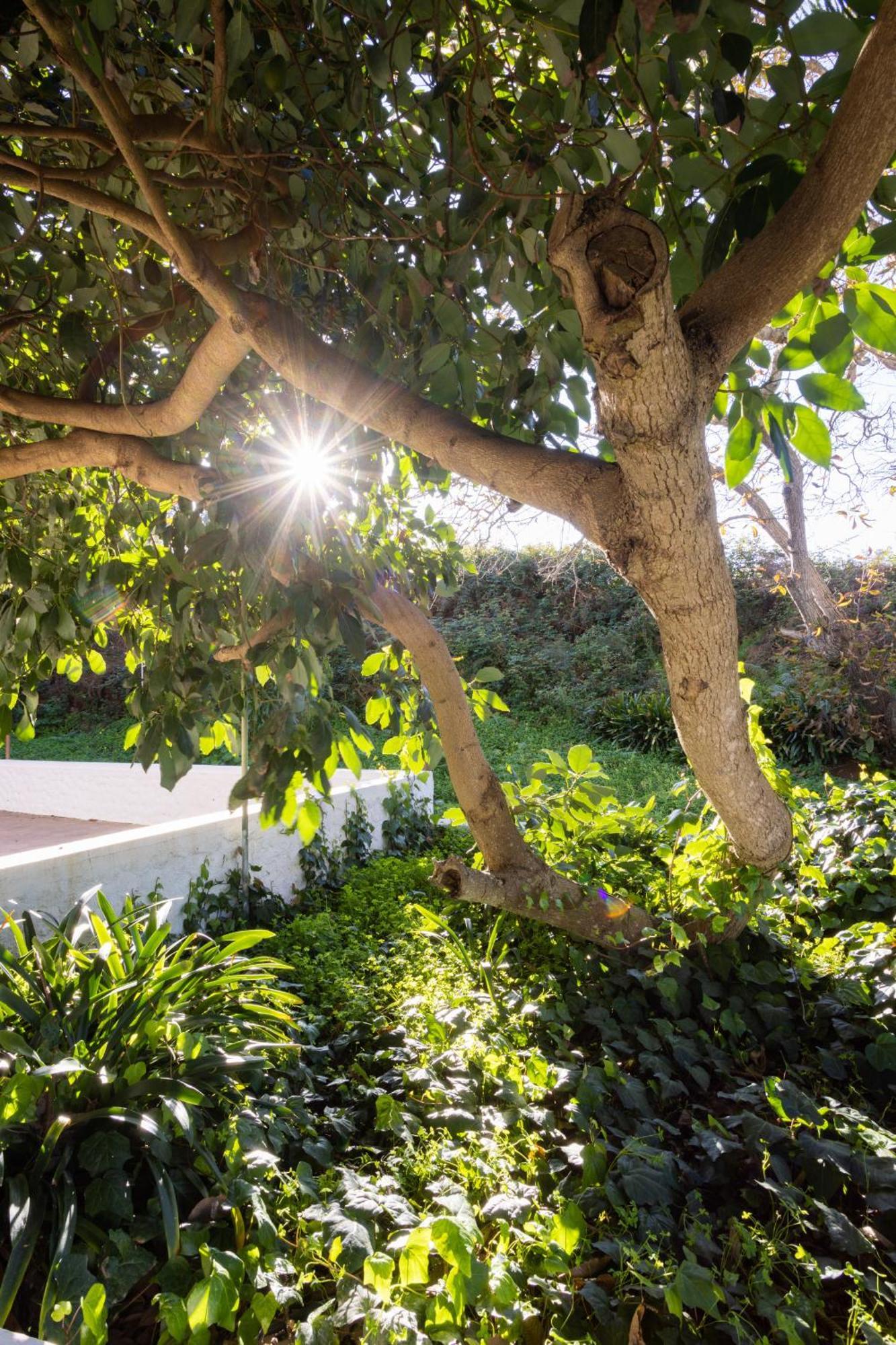 Lightbooking Casa De Campo Ortigal Tenerife La Esperanza  Exterior photo
